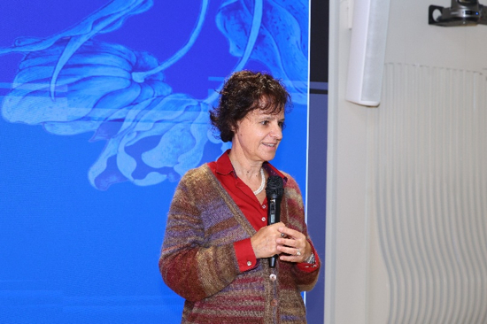 European Week 2024 event photograph 13