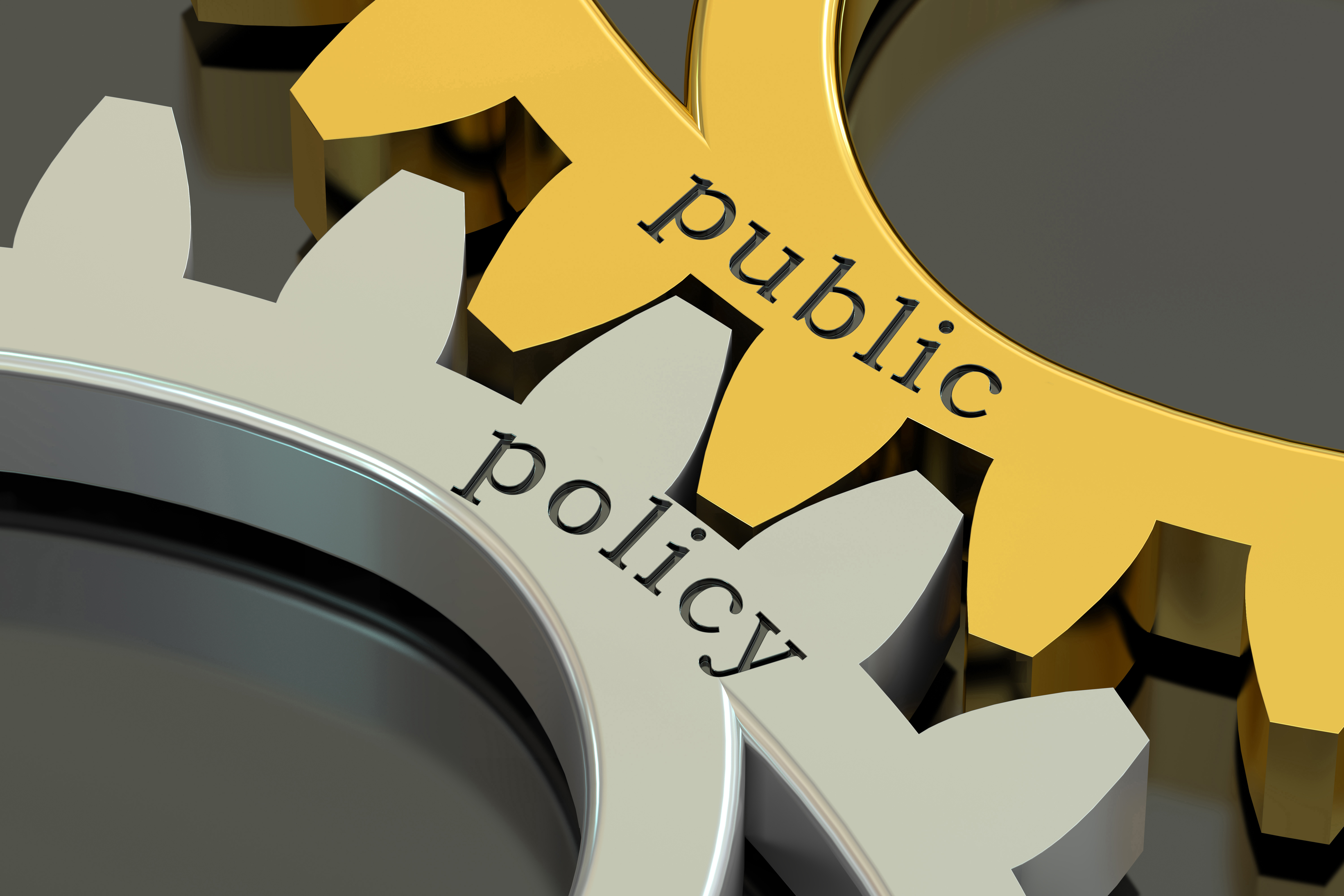 What is Public Policy? Definition, Scope, Features, Types & More