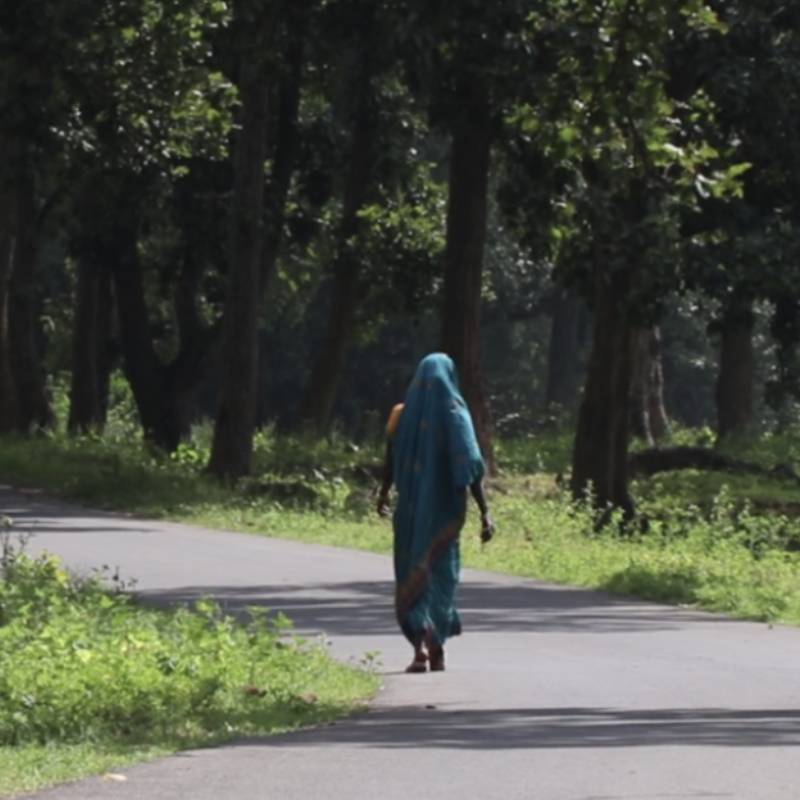 Erased from the Map: The Story of a Village in Hasdeo