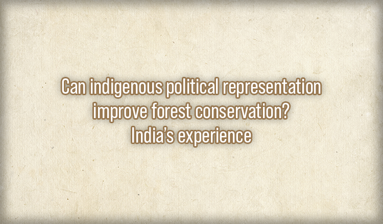 Can indigenous political representation improve forest conservation? India’s experience