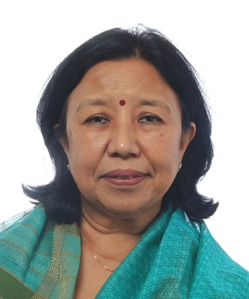 Our Faculty