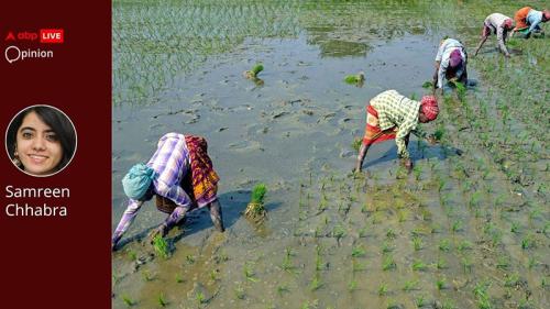 Opinion: Odisha Women Are Setting An Example In Climate Resilience. It’s Time They Get A Helping Hand