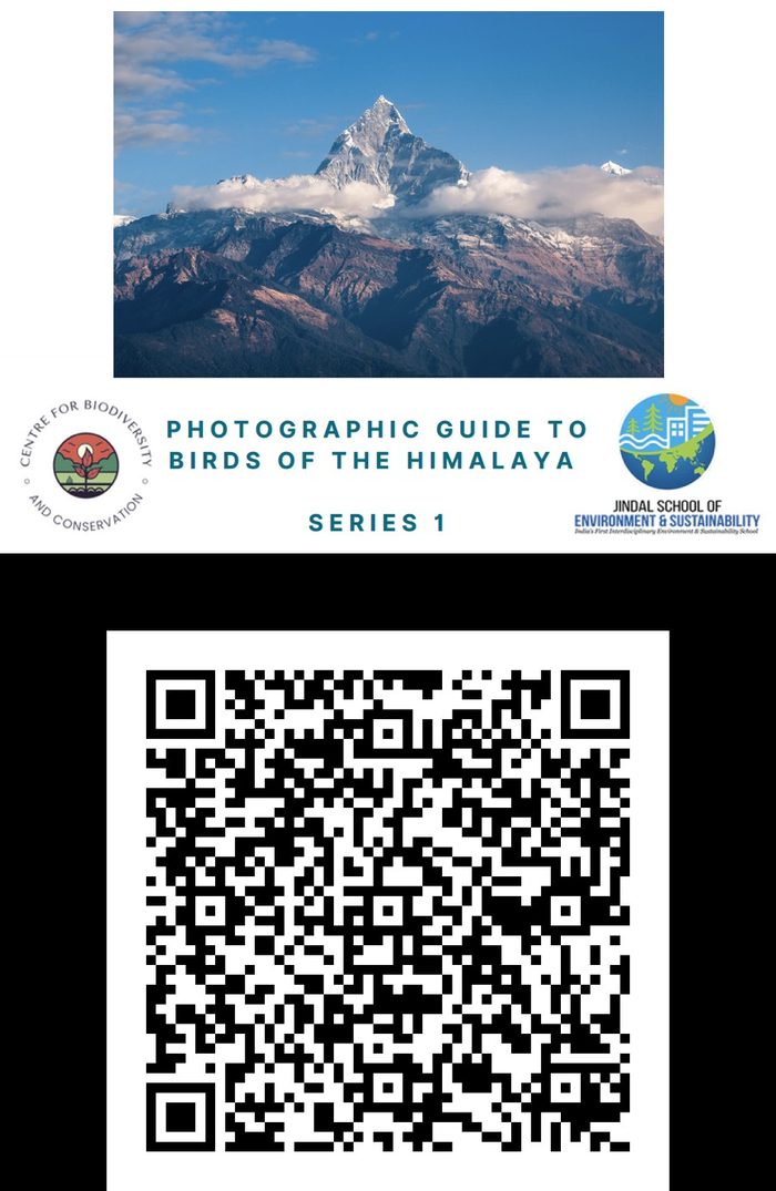 Cover: Photographic Guide to Birds of the Himalaya, Series 1