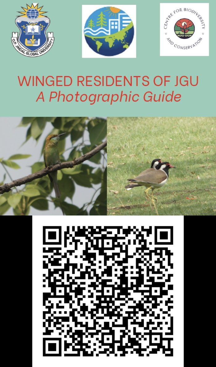 Cover: Winged Residents of JGU, A Photographic Guide