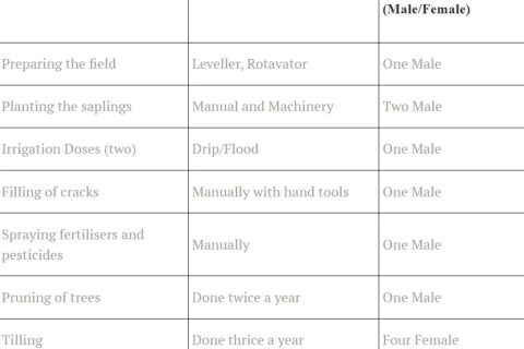 Farm-operations-based-on-labour-Table-1