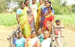 From Symbolic Seats to Substantive Power Women in Local Governance in India