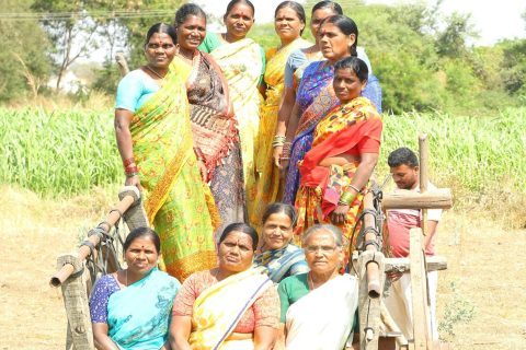 From Symbolic Seats to Substantive Power Women in Local Governance in India