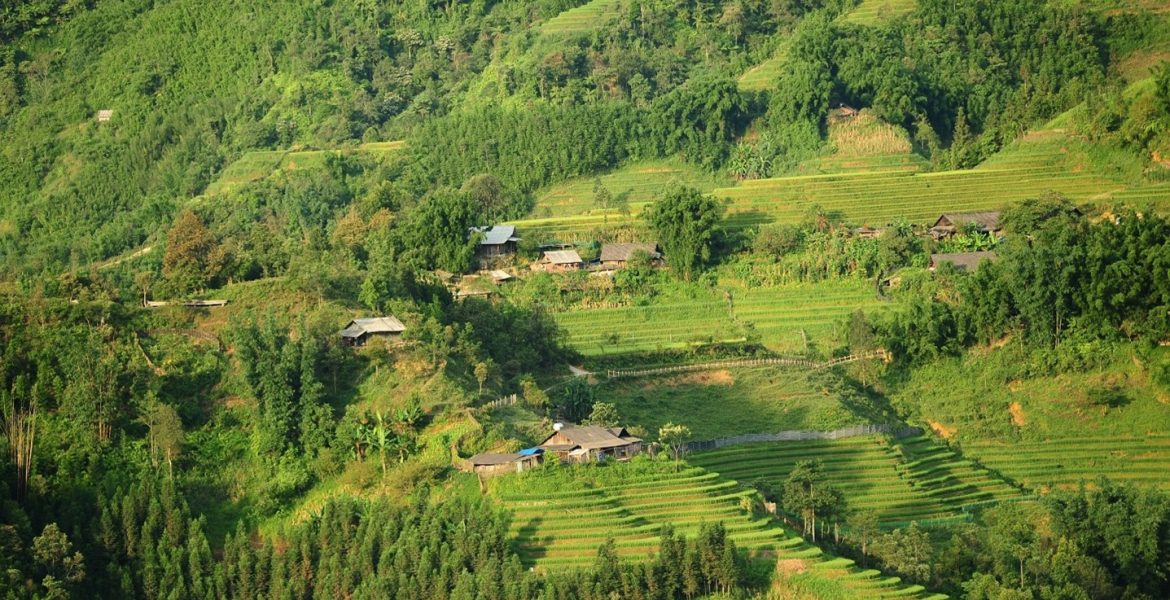 Sikkim Green Policy A Policy Brief