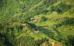 Sikkim Green Policy A Policy Brief