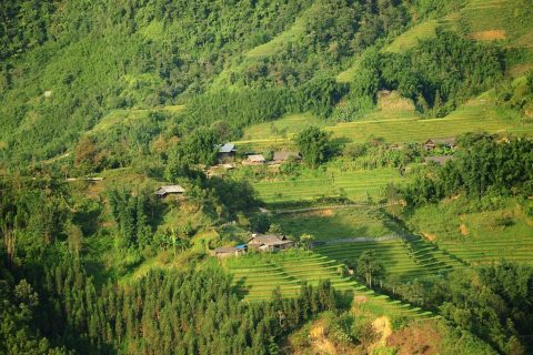 Sikkim Green Policy A Policy Brief