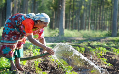 Policy Perspectives on India's National Mission on Natural Farming