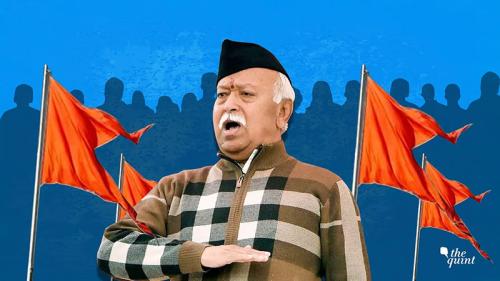 India Can't Afford RSS Chief's Three-Child Baby Boom Plan