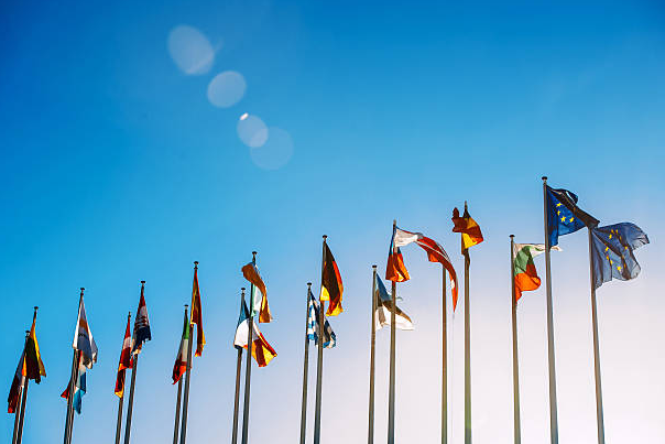 What is Diplomacy?