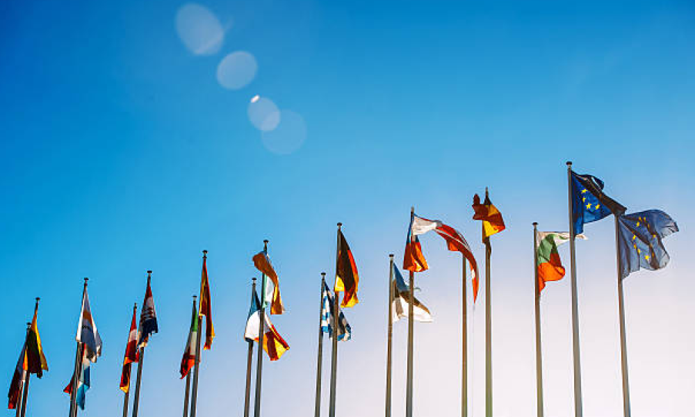What is Diplomacy?