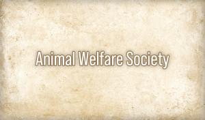 Animal Welfare Society, JGU Wide