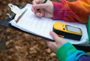 Surveying and Levelling Lab